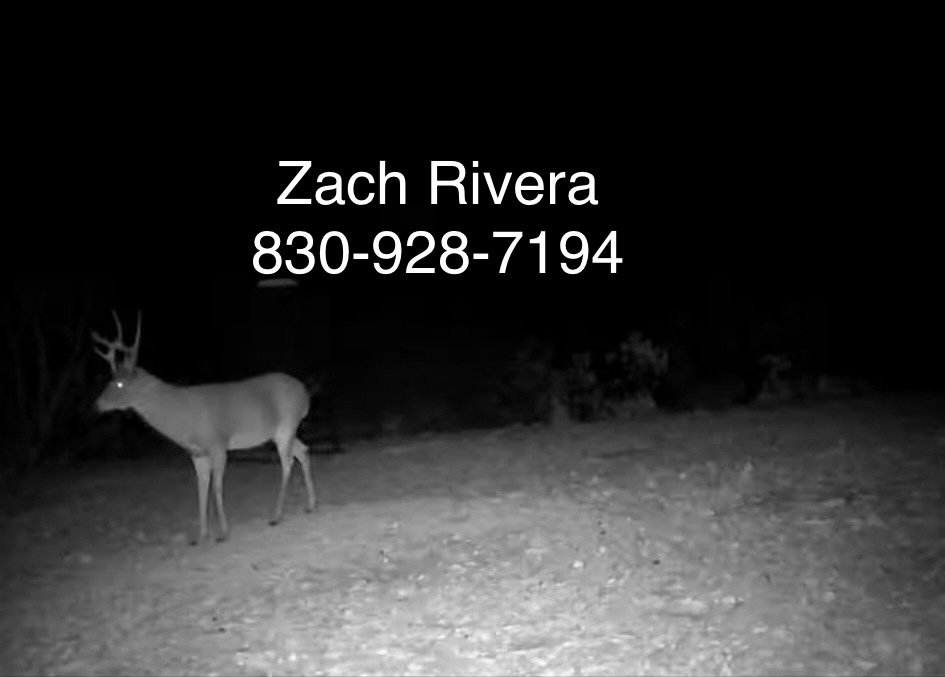 4195682774458035789