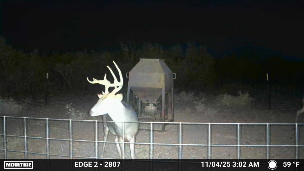 MOULTRIE DIGITAL CAMERA