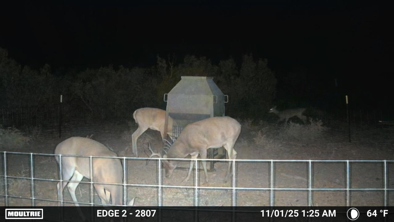 MOULTRIE DIGITAL CAMERA