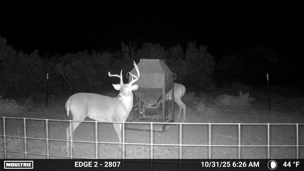 MOULTRIE DIGITAL CAMERA