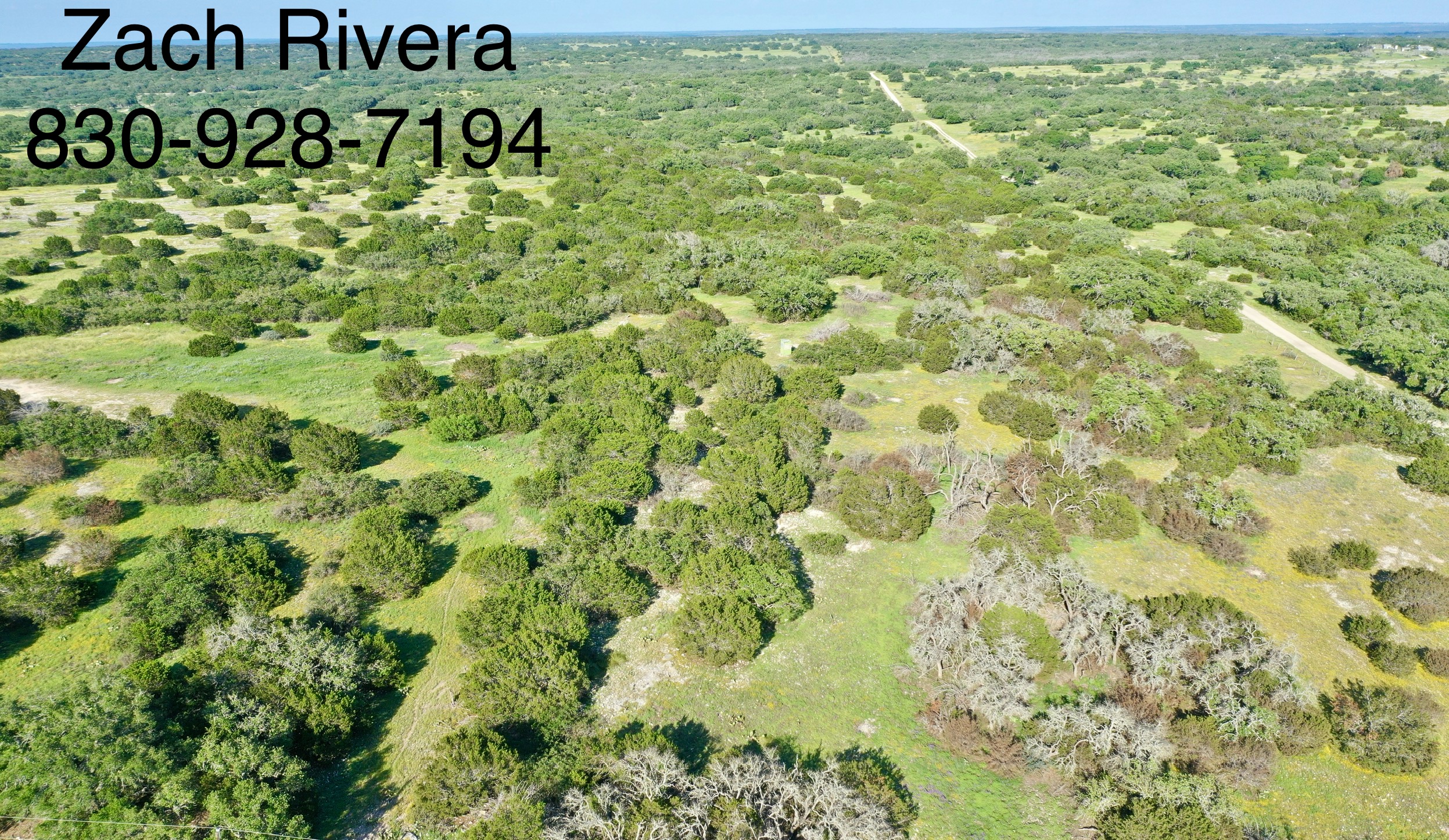 10 Acres Of Hunting Land / OWNER FINANCED Only $1,790 Needed To Take Off Market! (Harper, Tx)