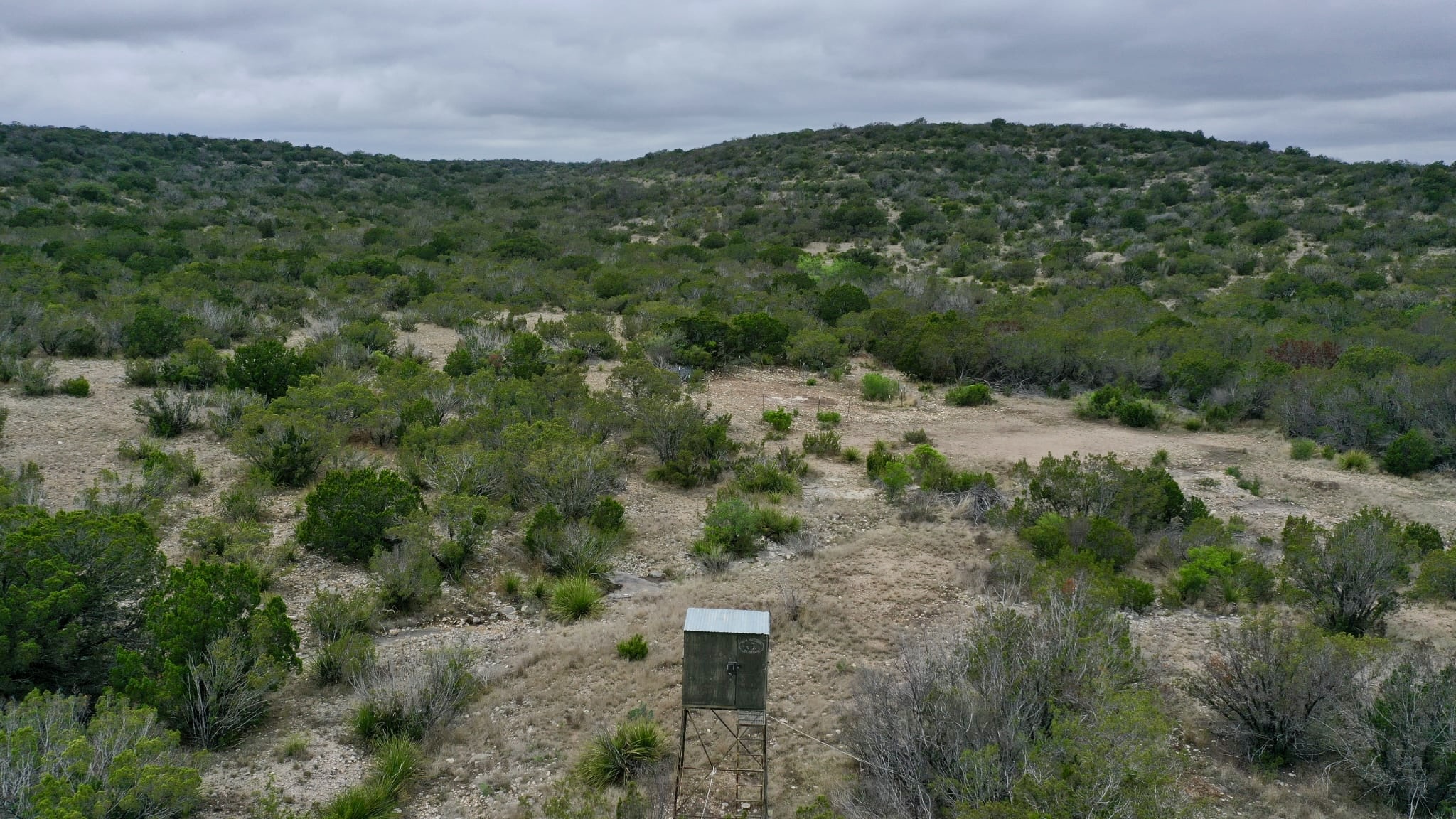 101.27 Acres Raw Hunting Land / OWNER FINANCED Only $2,380 Needed To Take Off Market (Rocksprings, Tx )