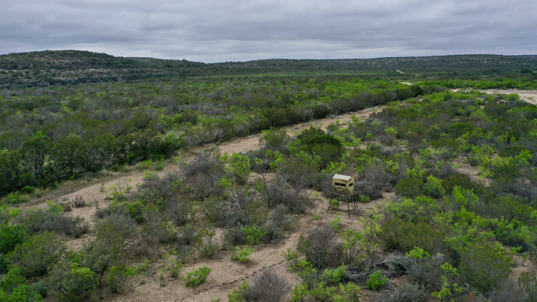 45.48 Acres Of  Hunting Land With Electric / OWNER FINANCED Only $1,206 Needed To Take Off Market (Rocksprings, Tx)