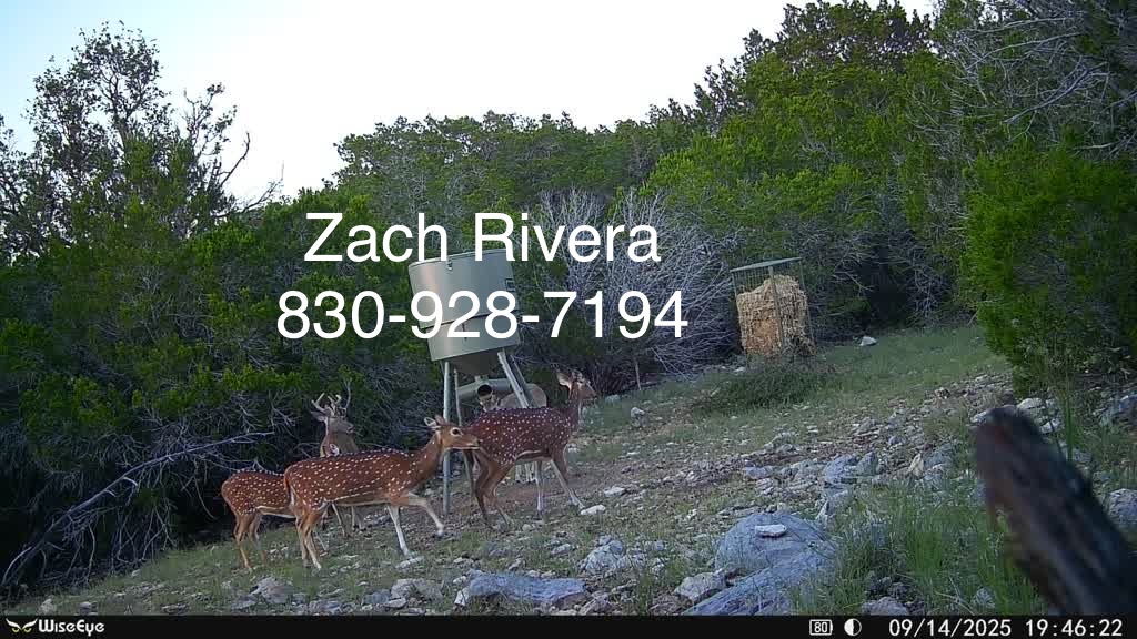 43.92 acres of hunting land OWNER FINANCED / Only $1,252 Down Needed To Take Off Market! (RockSprings, Tx)