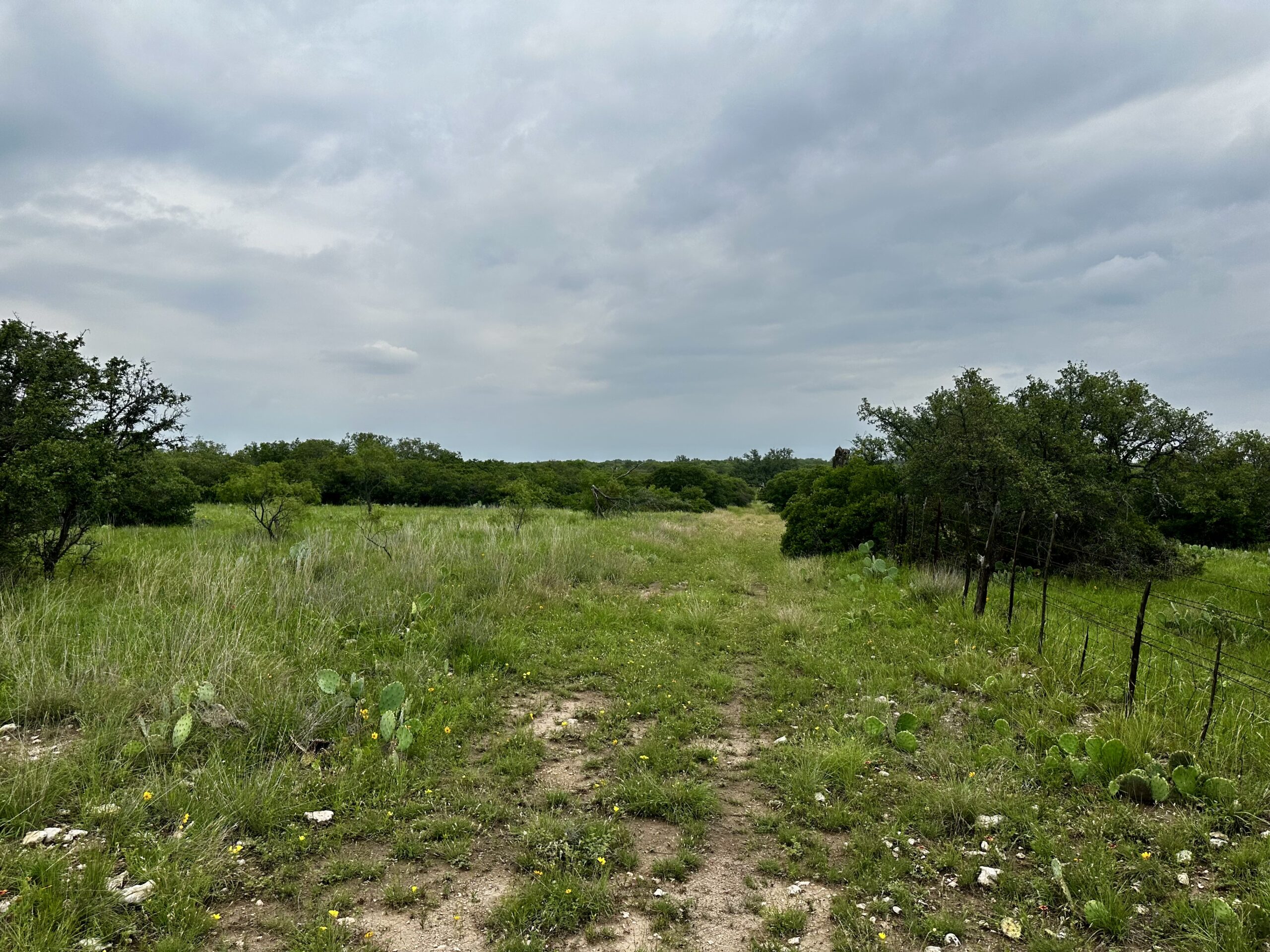  24.5 Acres With Water Well (Electric &’ Fiber optics very close) / OWNER FINANCED Only $2,428 down needed to take off market! (Brady, Tx)