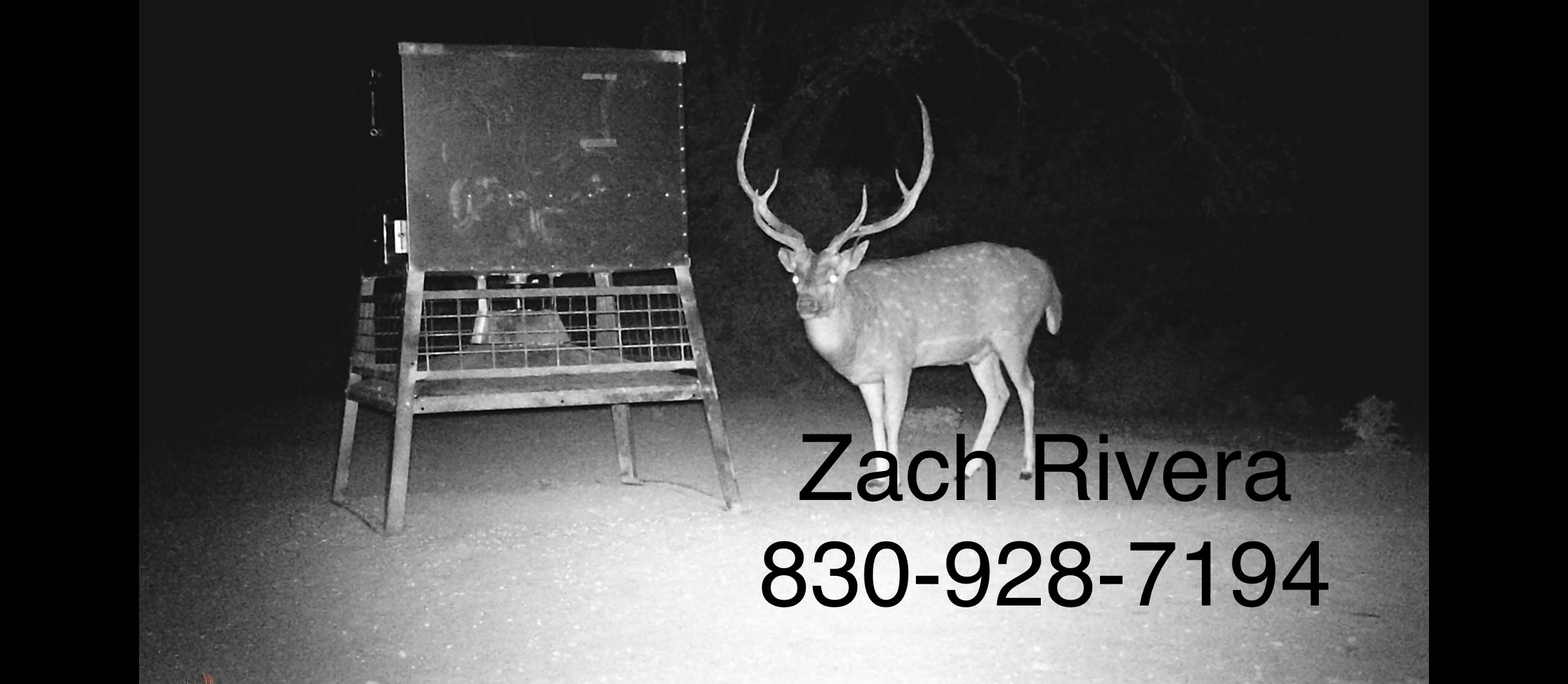 30.62 Acres Of Hunting Land with Electricity  / OWNER FINANCED Only $5,351 Down Needed! 